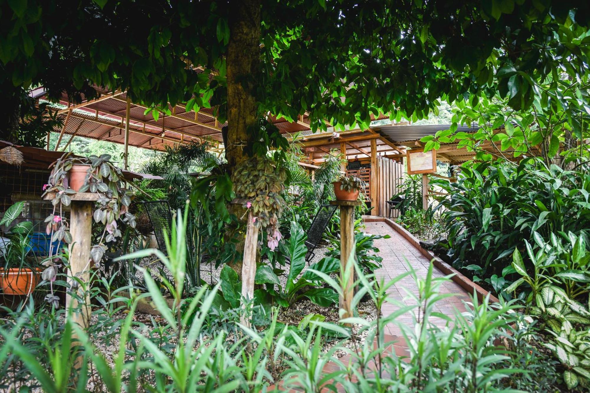 Casa Cora Bed And Breakfast Carmona Екстер'єр фото